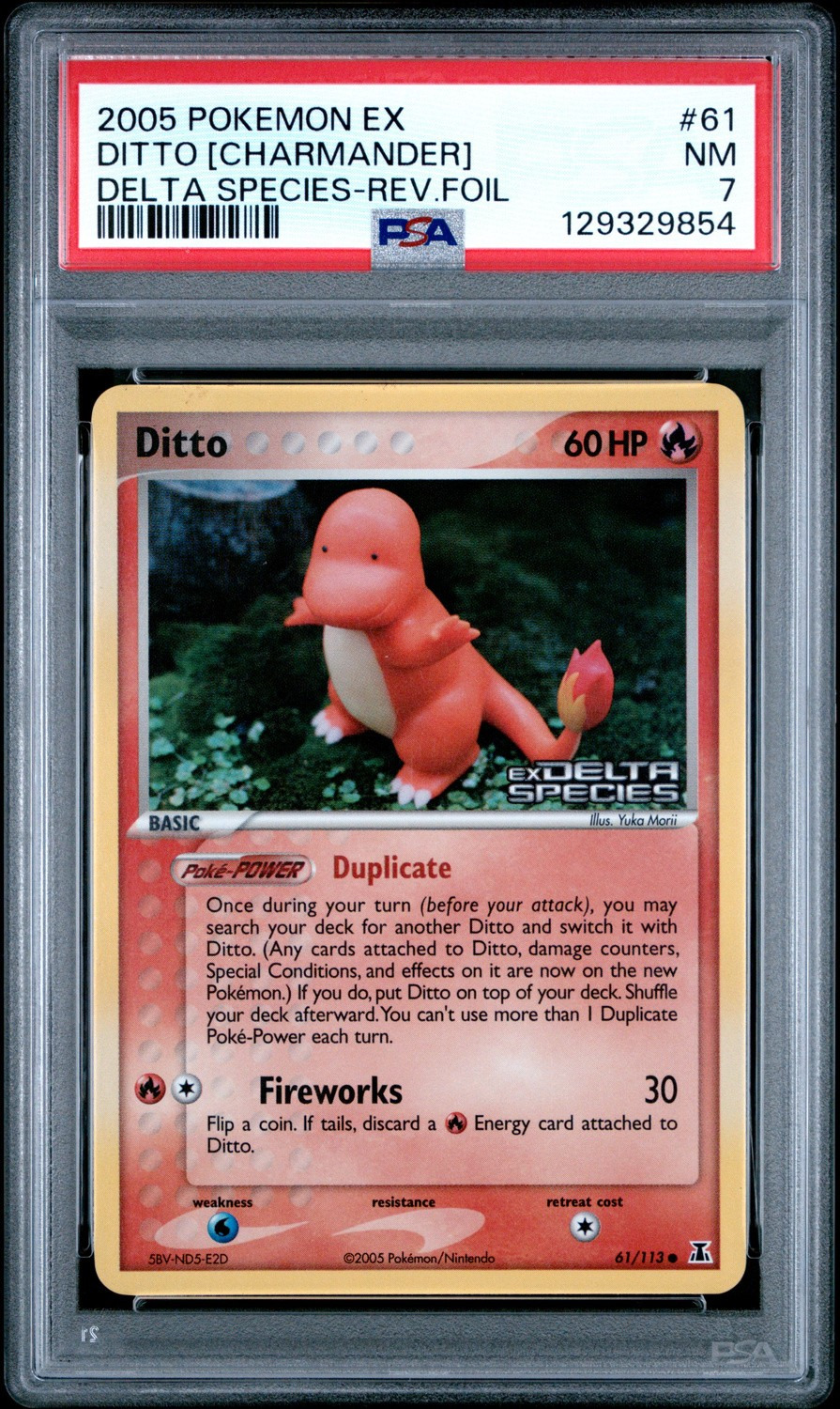 Ditto [Charmander]