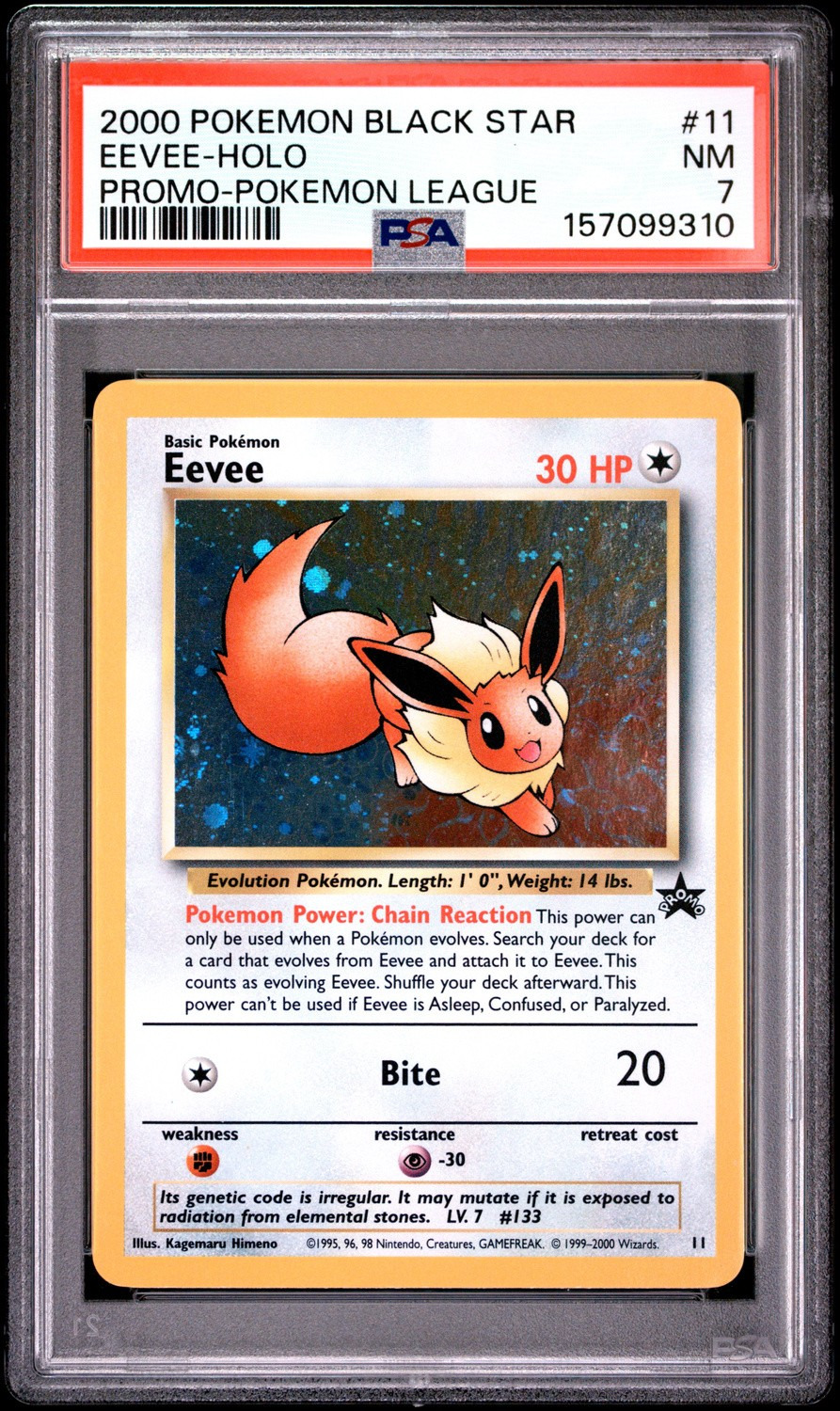 EEVEE