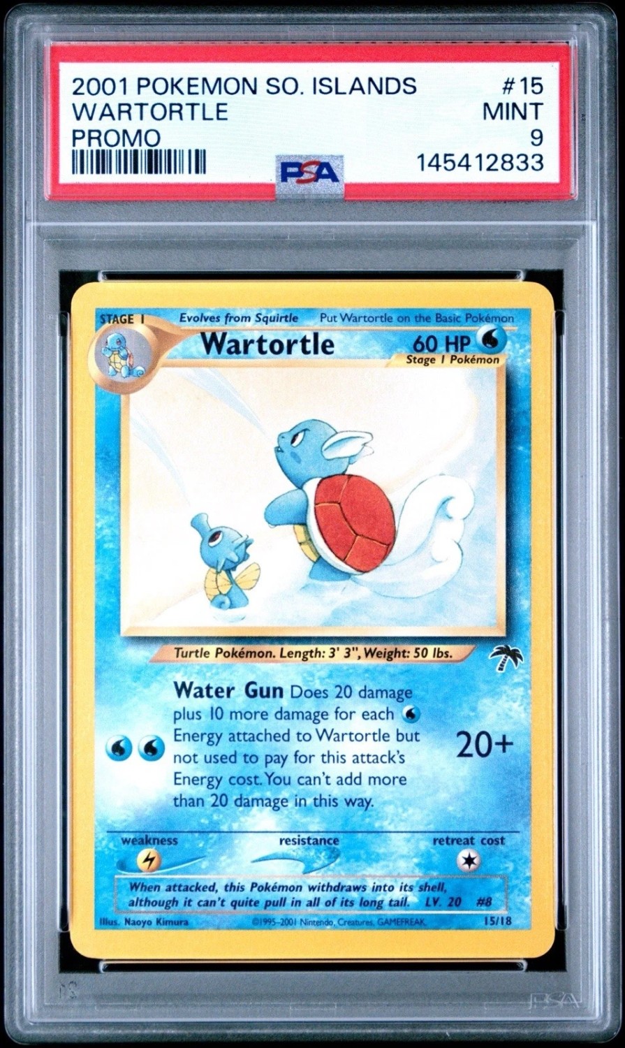 Wartortle