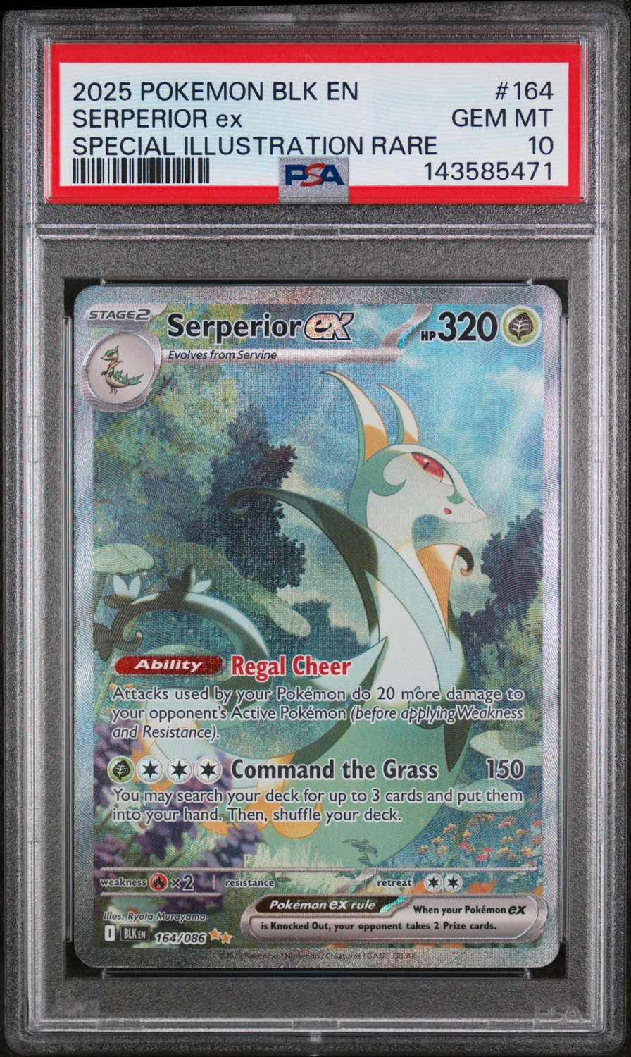 SERPERIOR ex