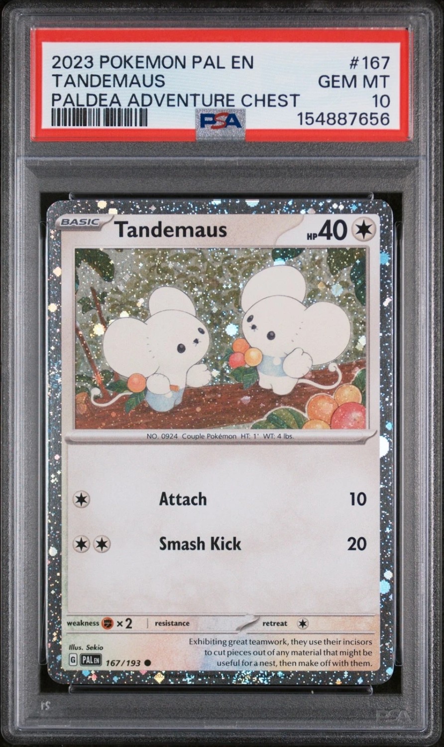 TANDEMAUS