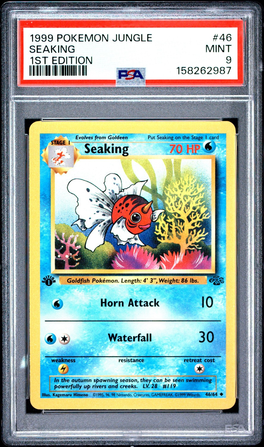 Seaking