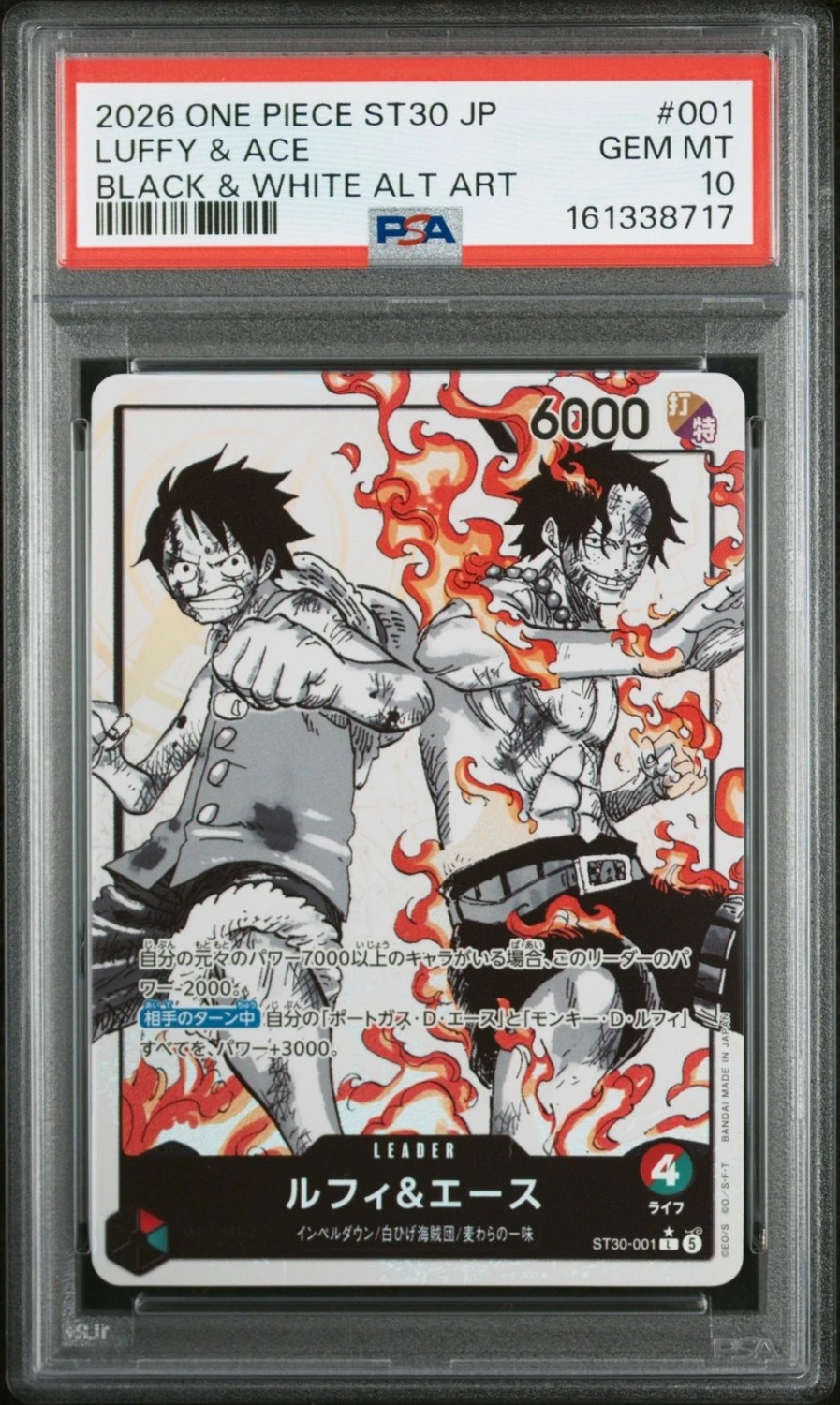 Luffy & Ace