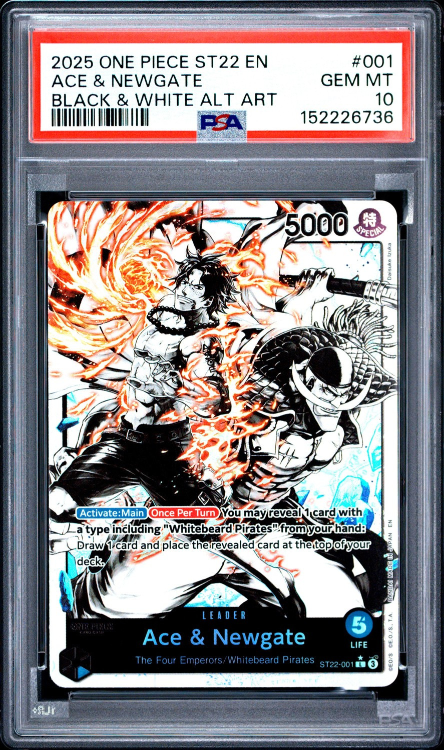 TCG Cards