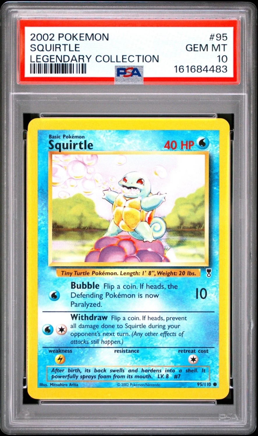 Squirtle C