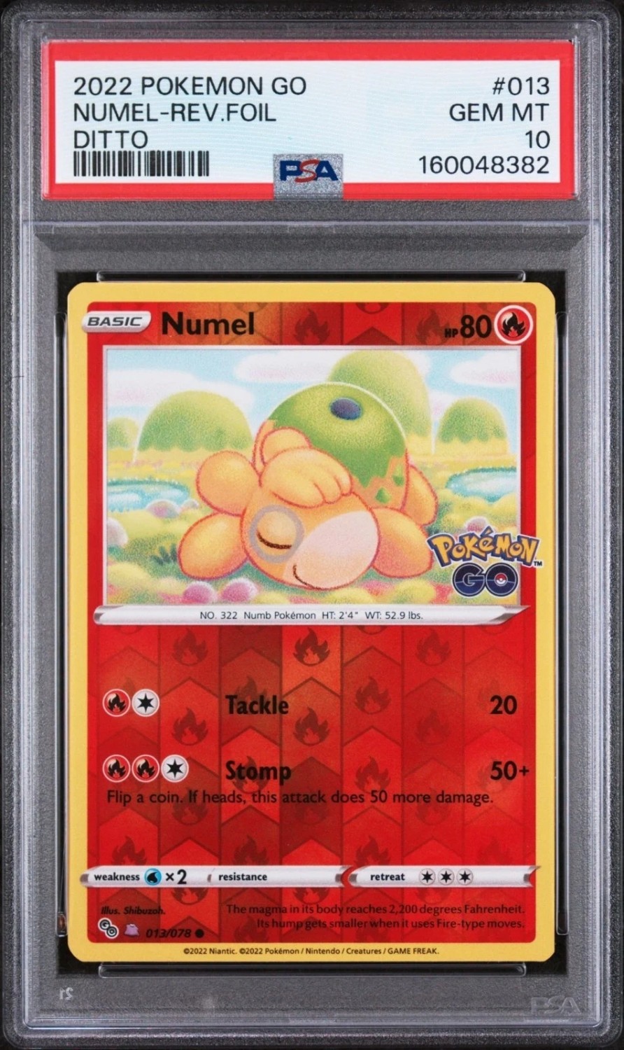 Numel (Ditto)