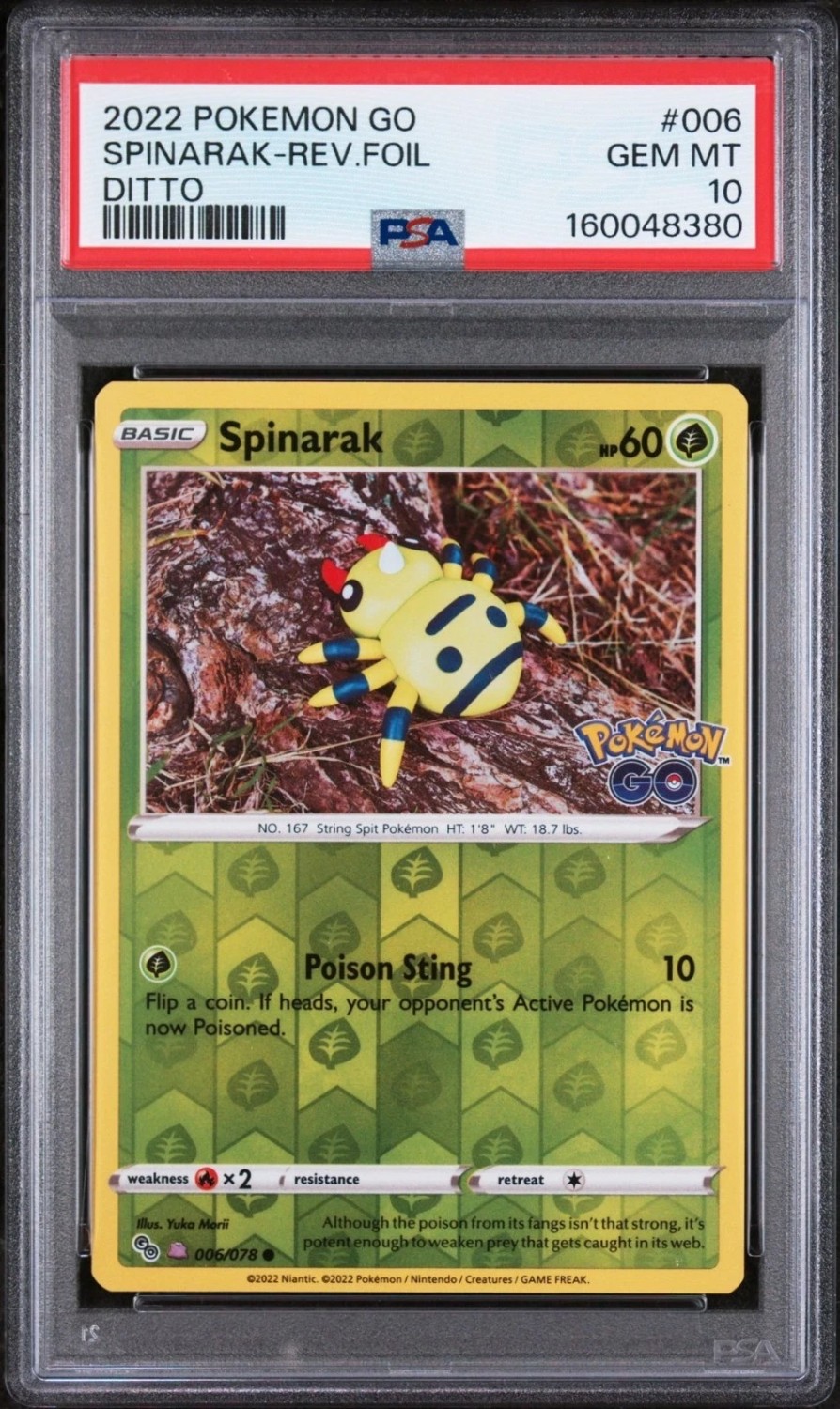 Spinarak