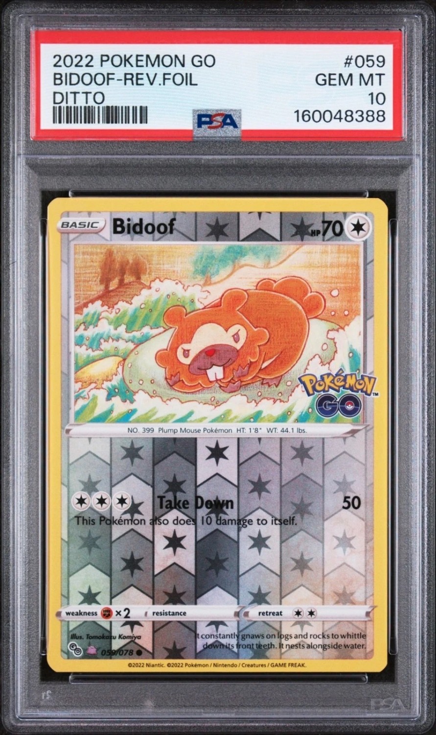 Bidoof