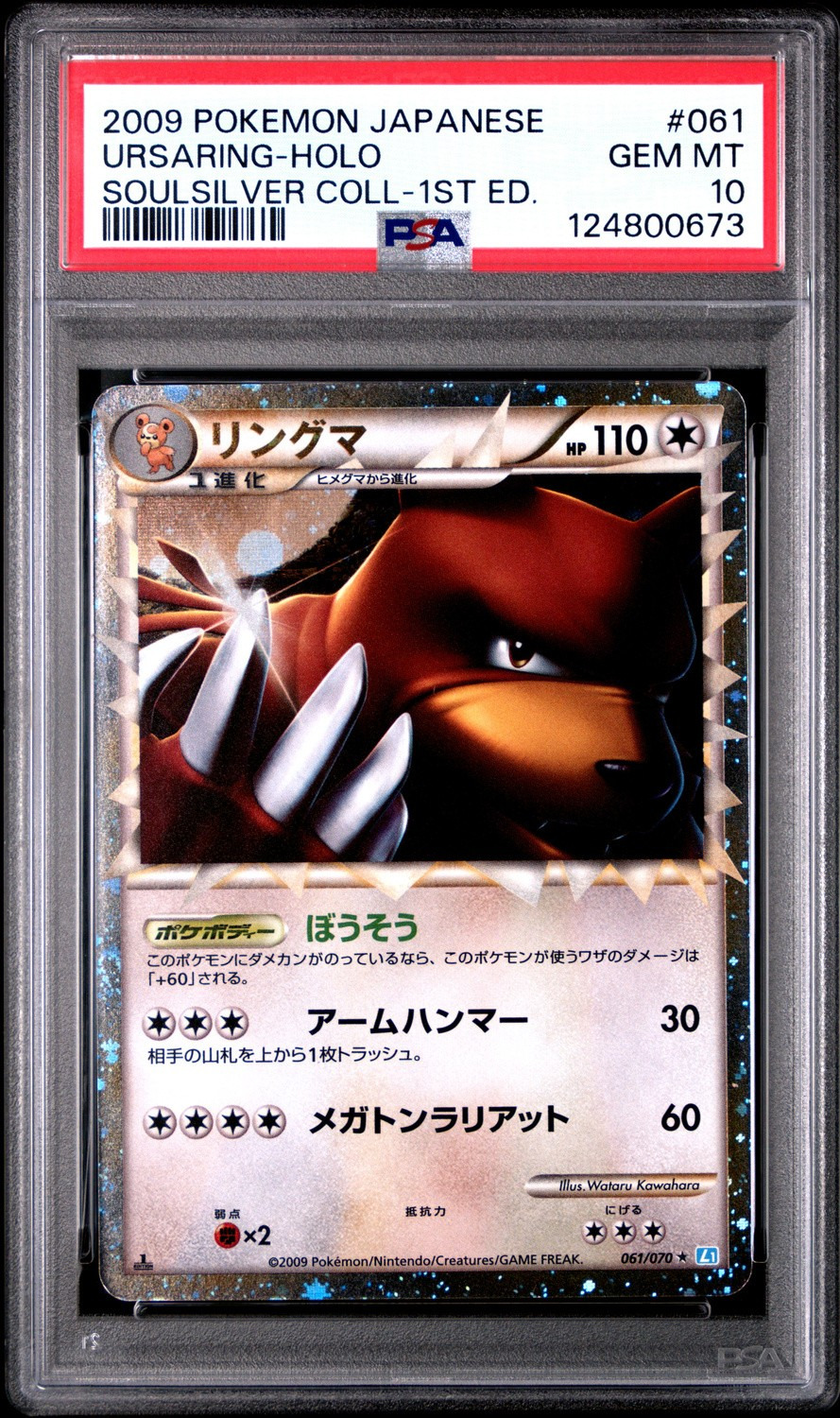 Ursaring
