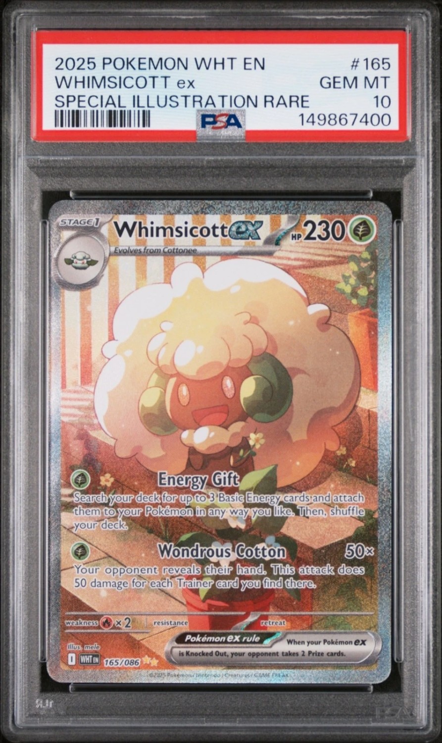 WHIMSICOTT ex