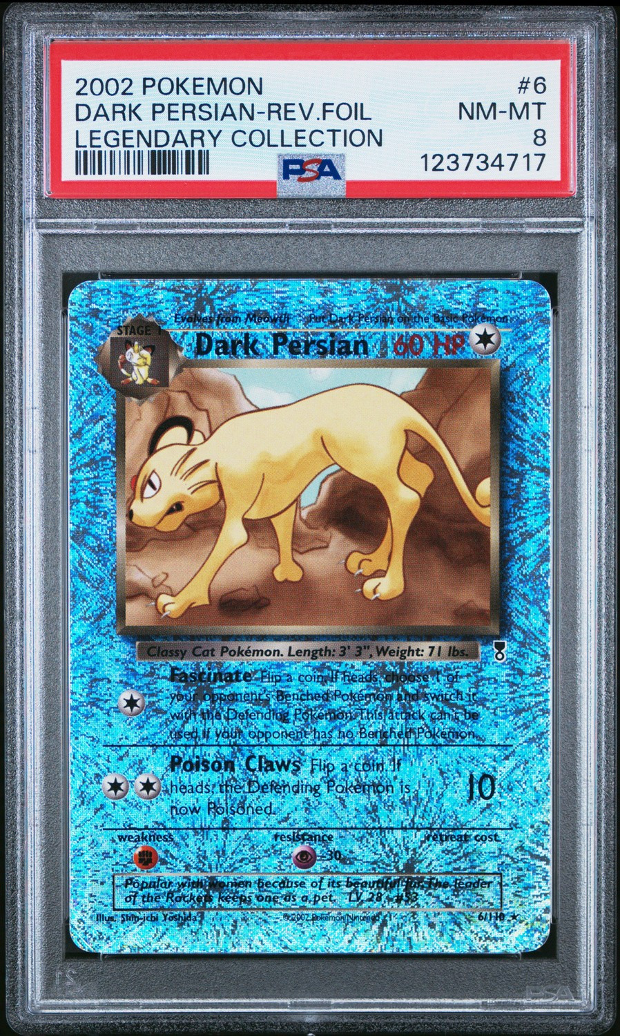 Dark Persian "Fireworks"