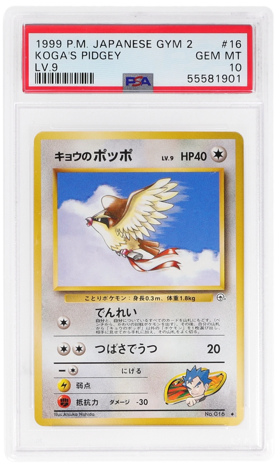 Koga's Pidgey