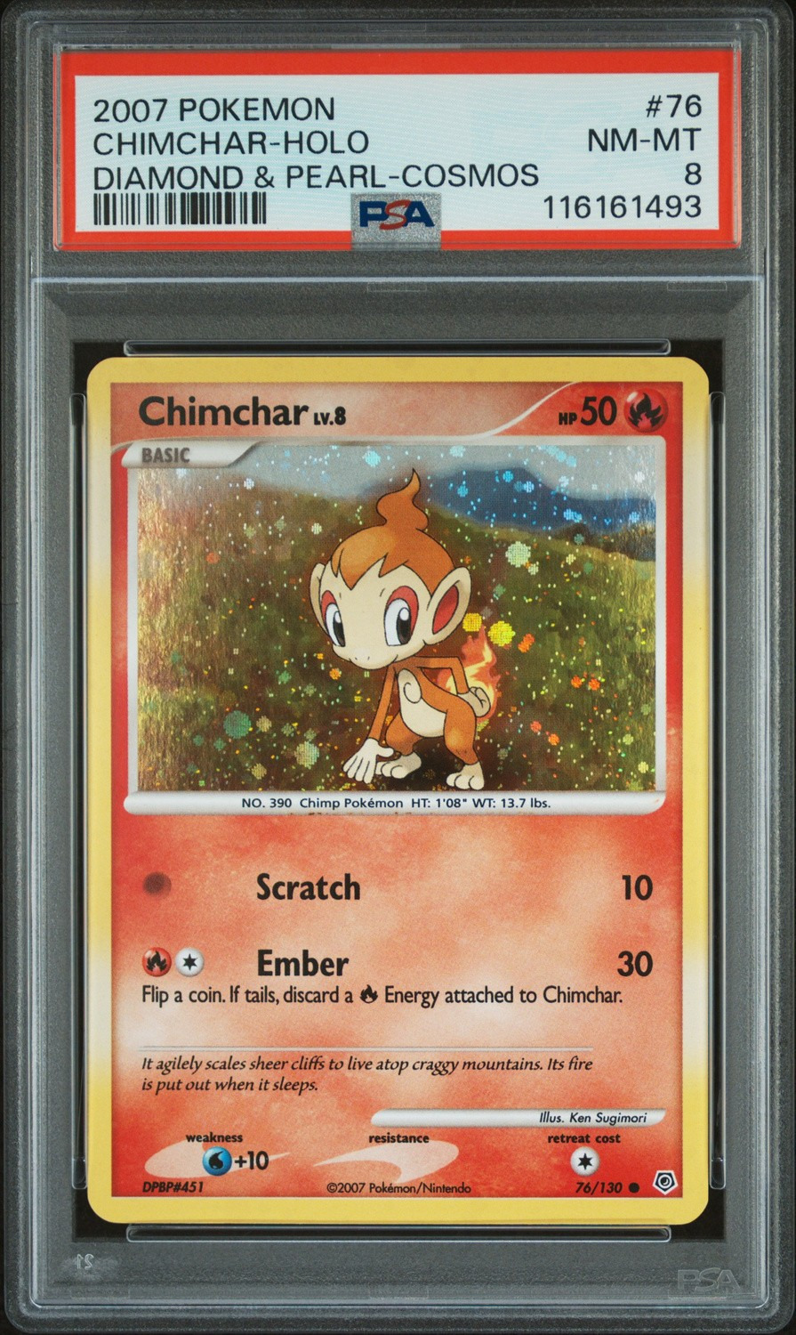 Chimchar Lv.8