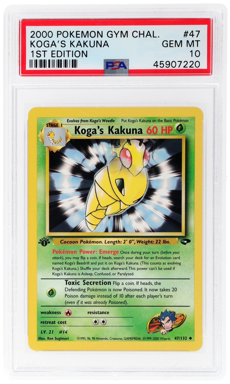 Koga's Kakuna