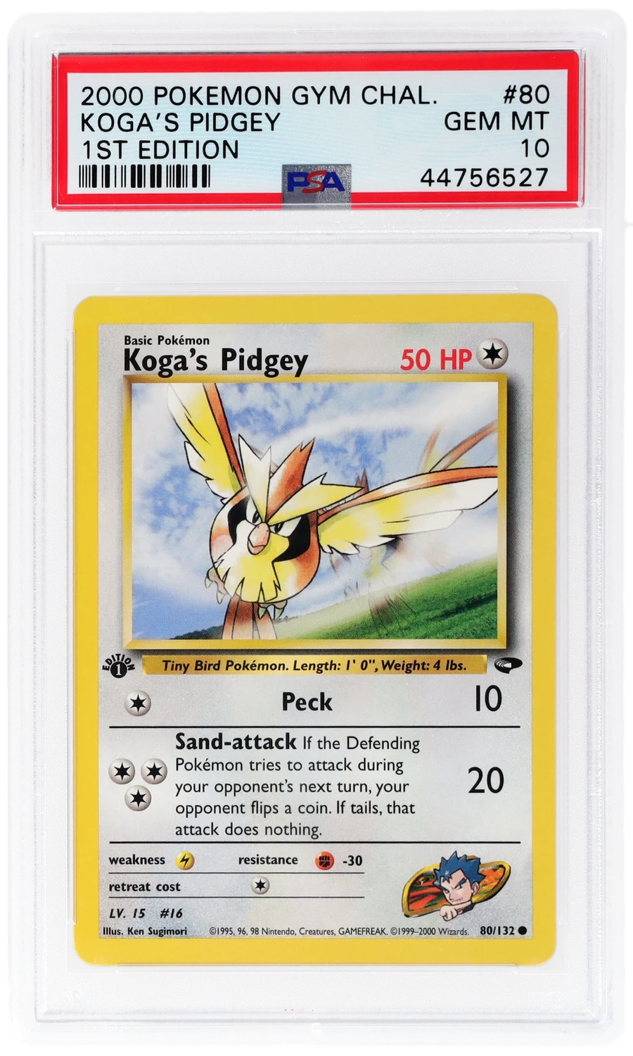 Koga's Pidgey