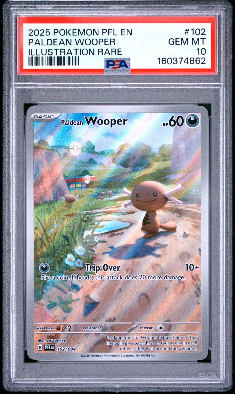PALDEAN WOOPER