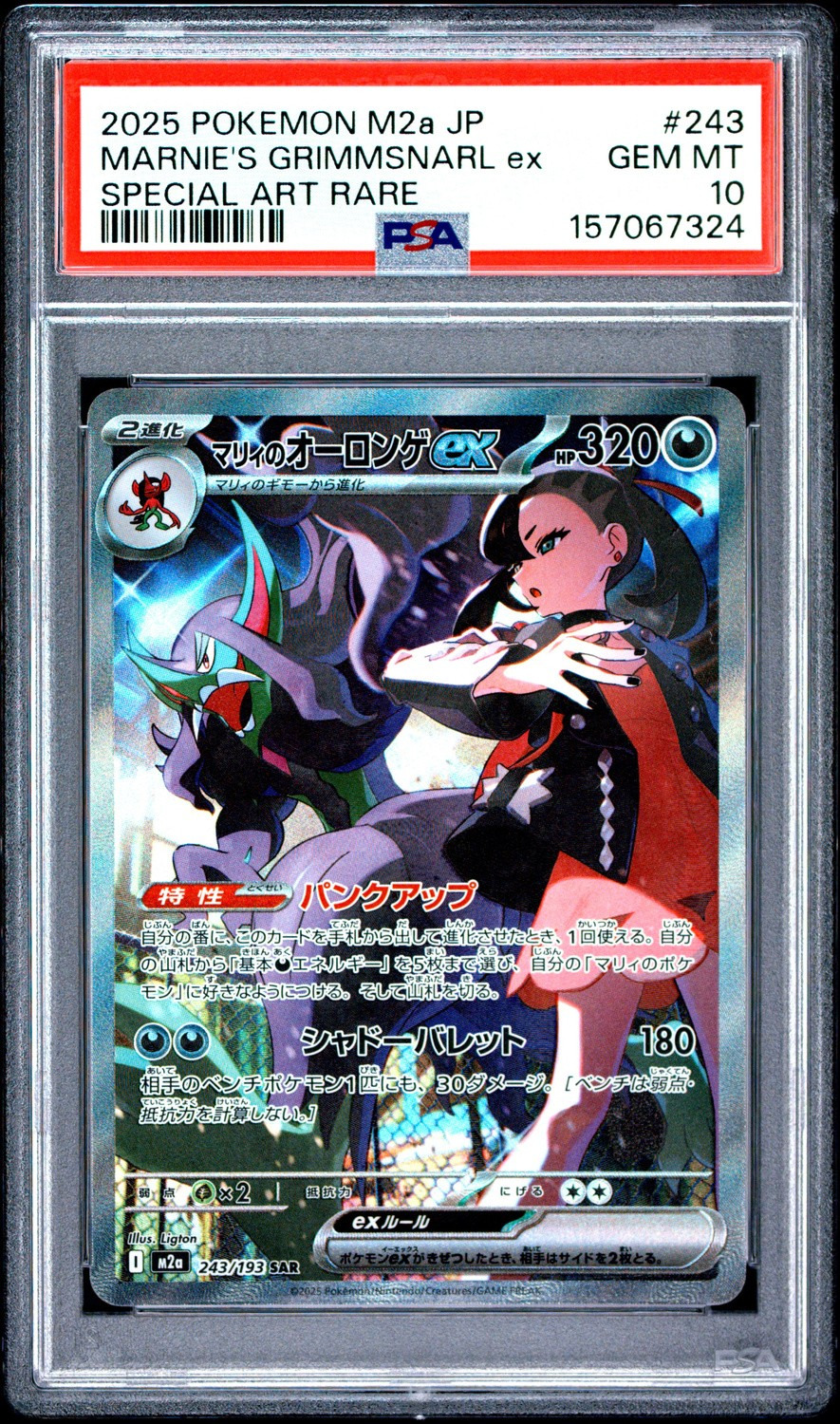 MARNIE'S GRIMMSNARL ex