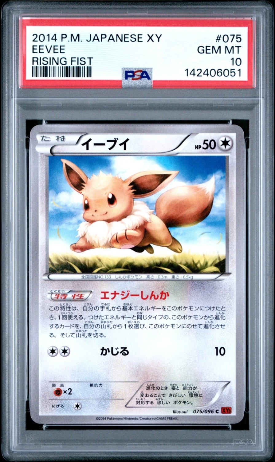 EEVEE