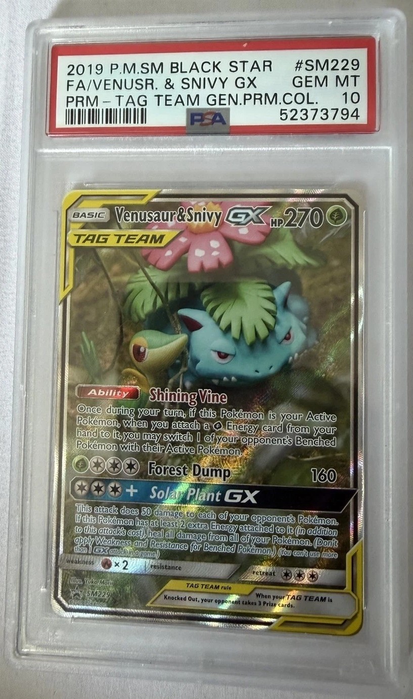 Venusaur & Snivy GX