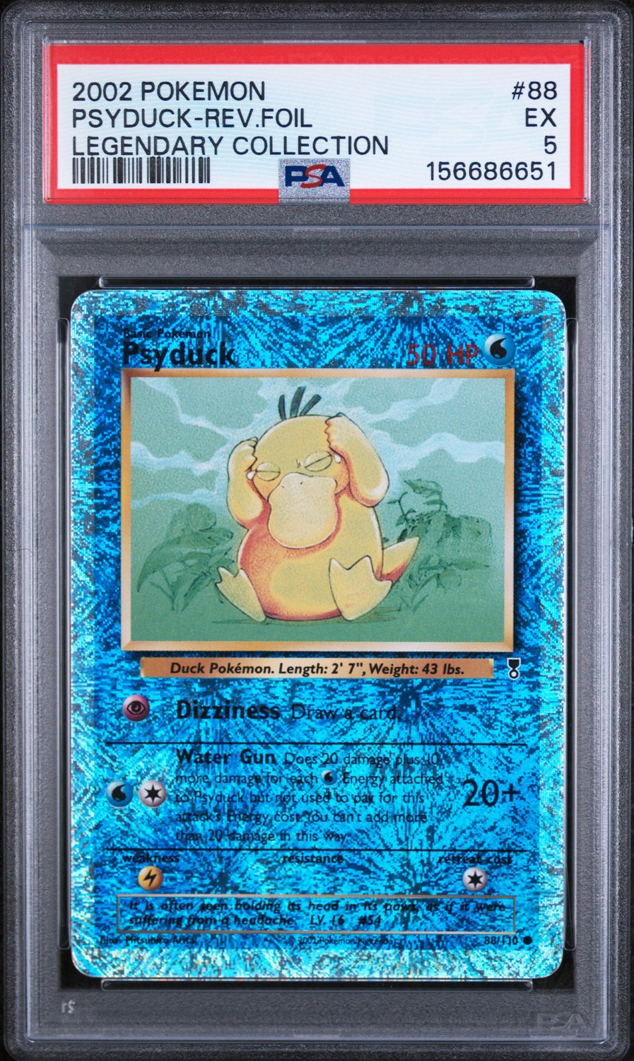 Psyduck C