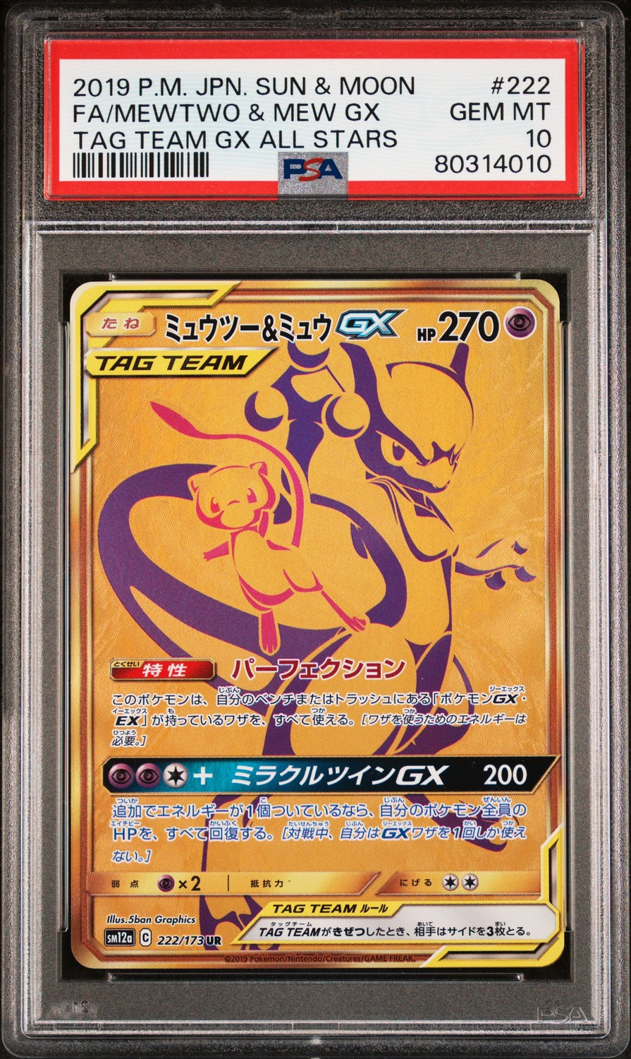 Mewtwo & Mew GX