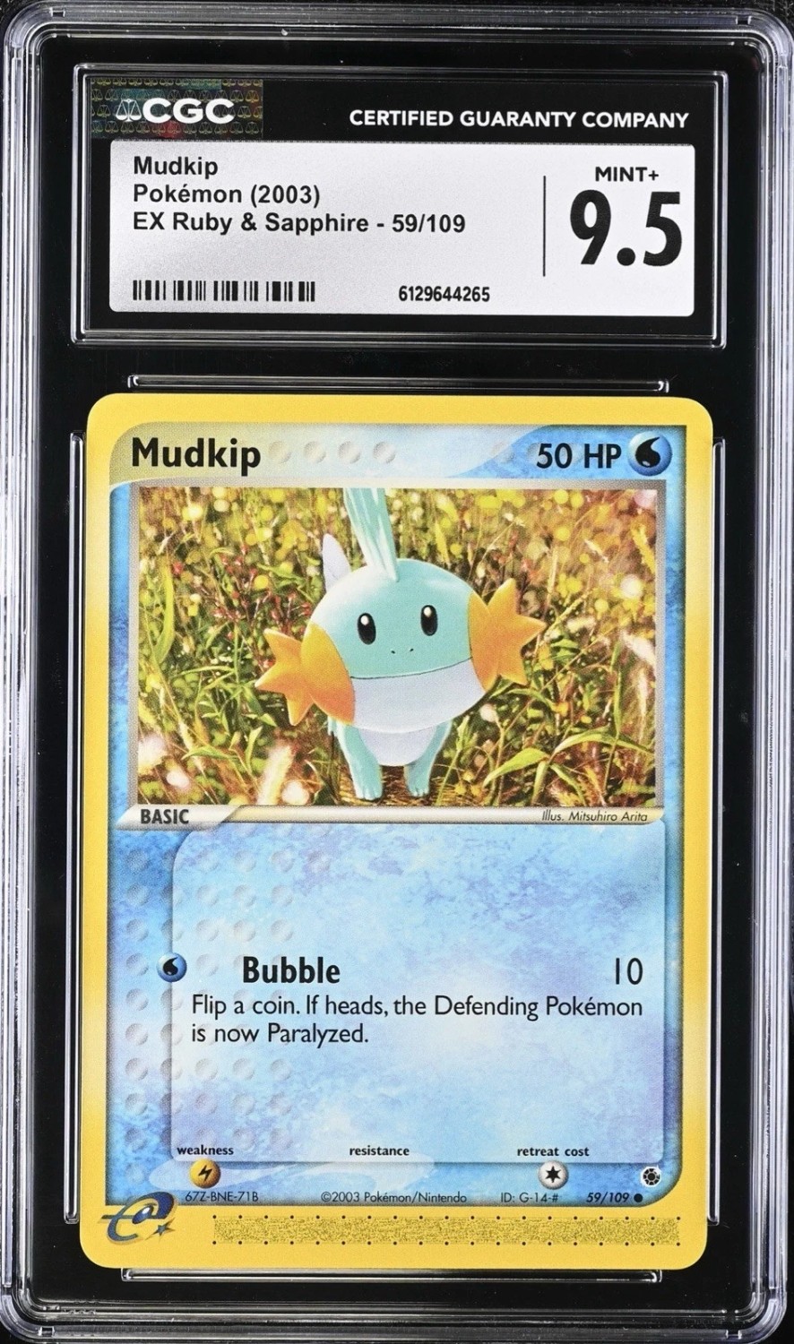 MUDKIP