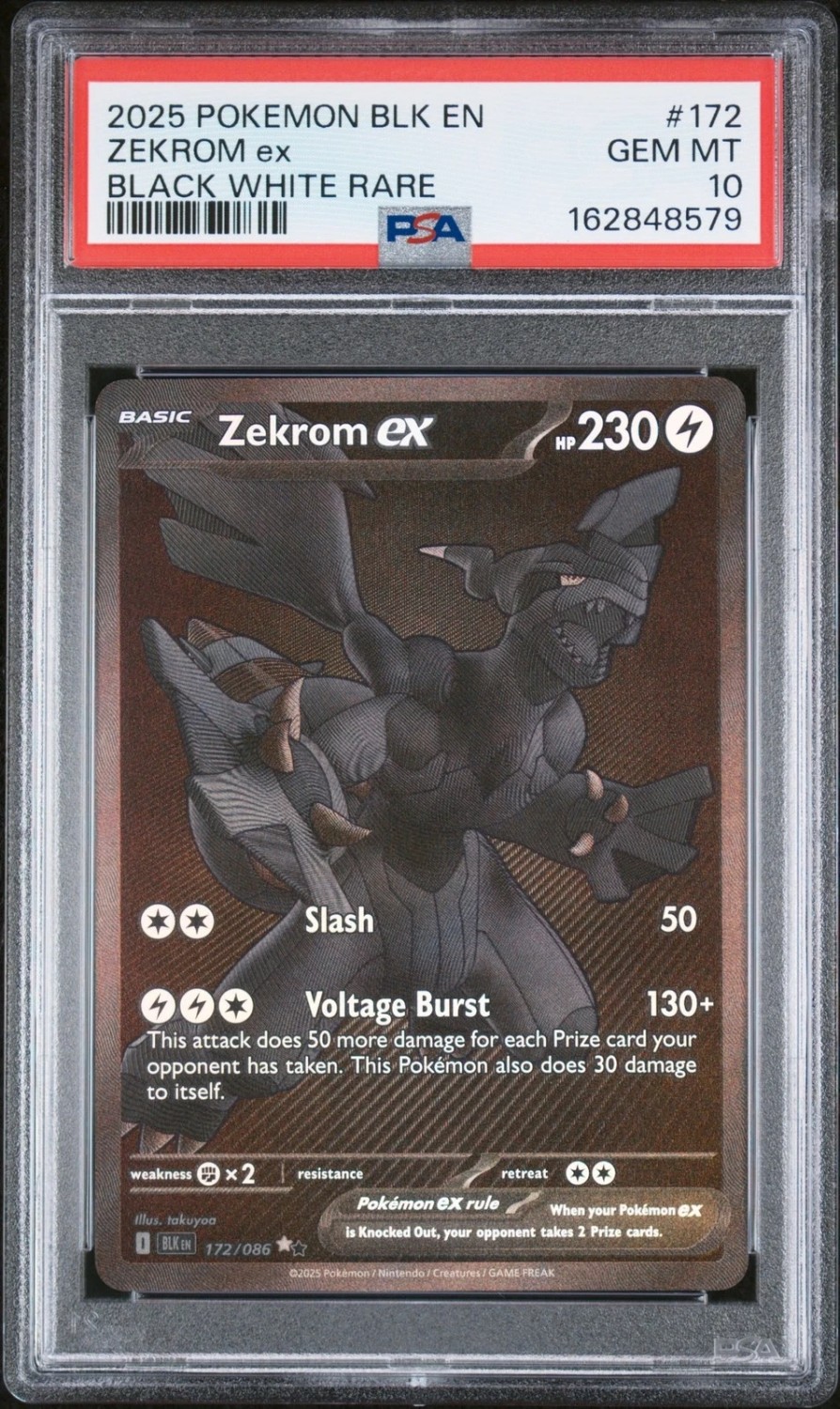 ZEKROM ex