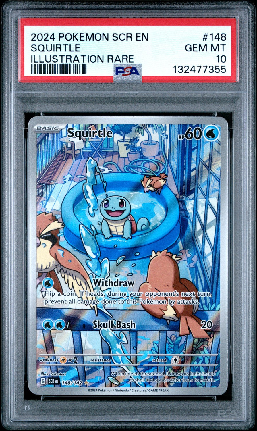 Squirtle