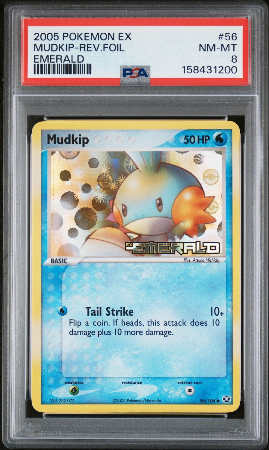 Mudkip