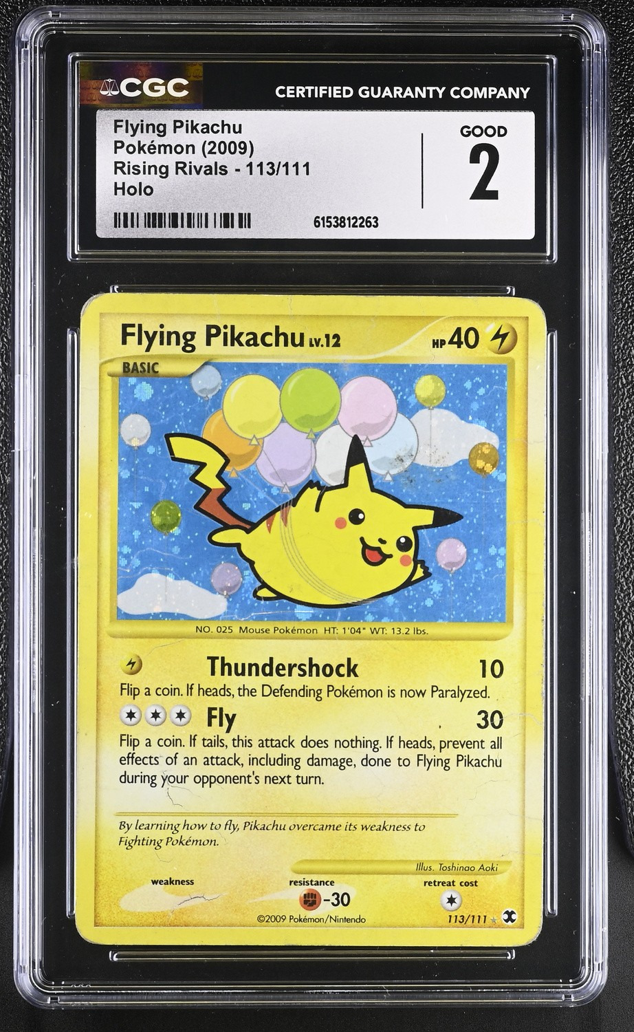 Flying Pikachu
