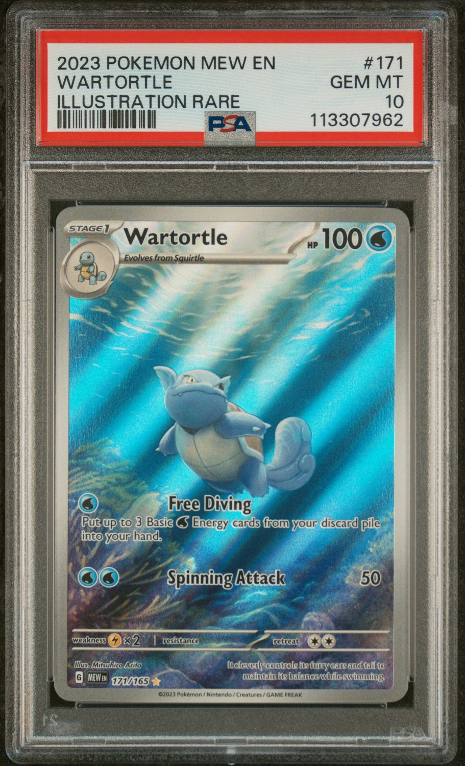 Wartortle
