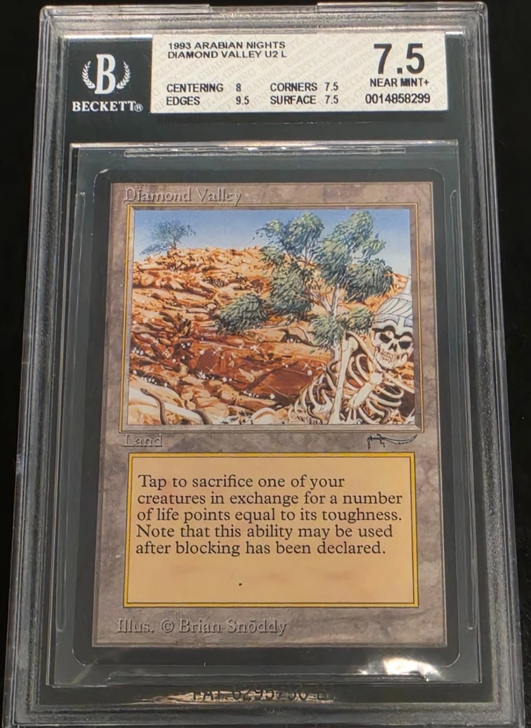 Diamond Valley U2 :L: