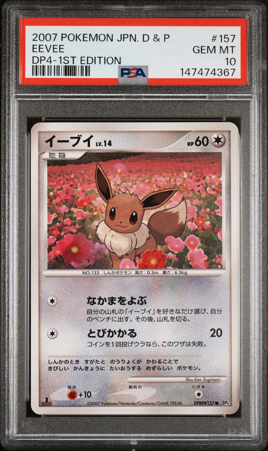 Eevee
