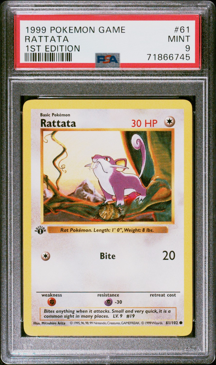 Rattata