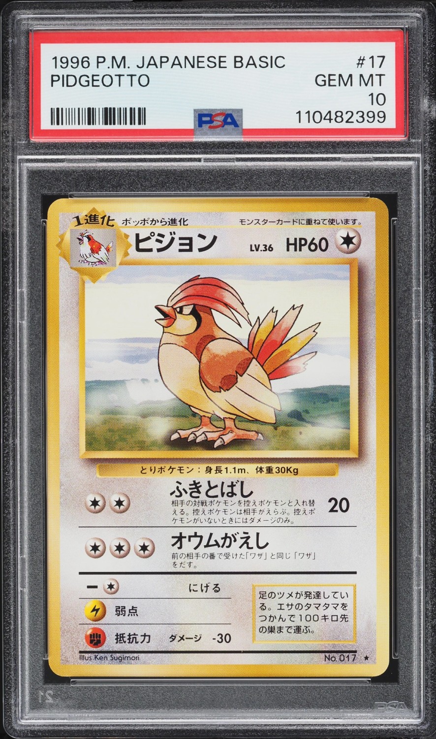 Pidgeotto