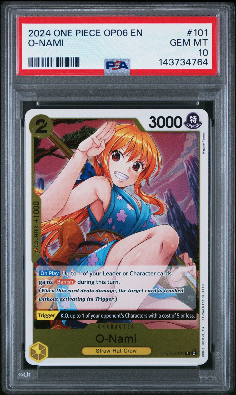 O-NAMI