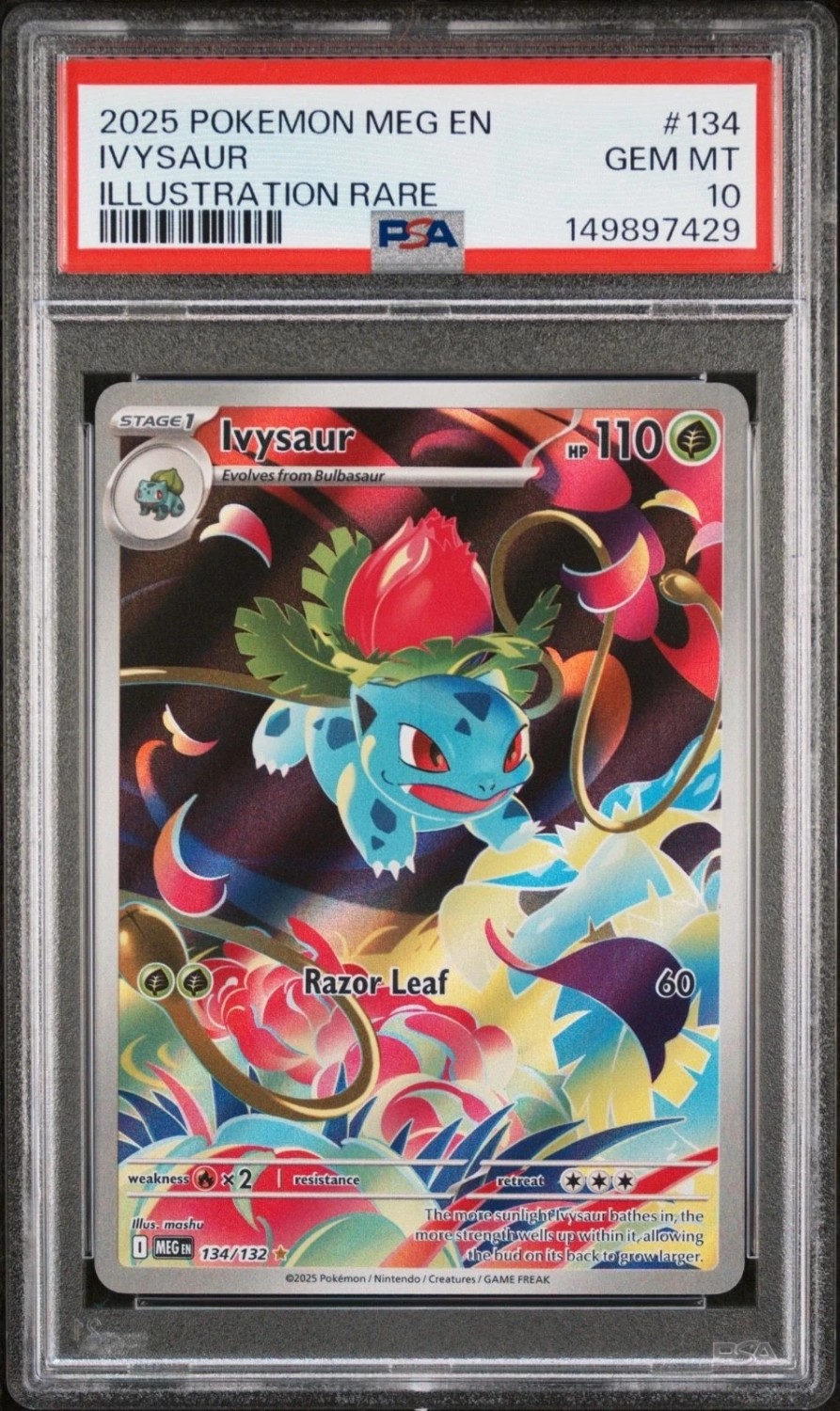 IVYSAUR