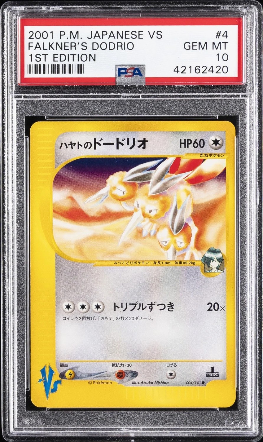 Falkner's Dodrio