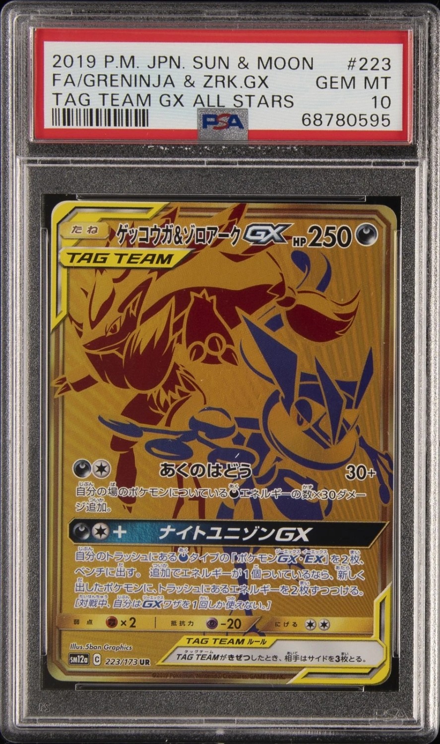 Greninja & Zoroark GX