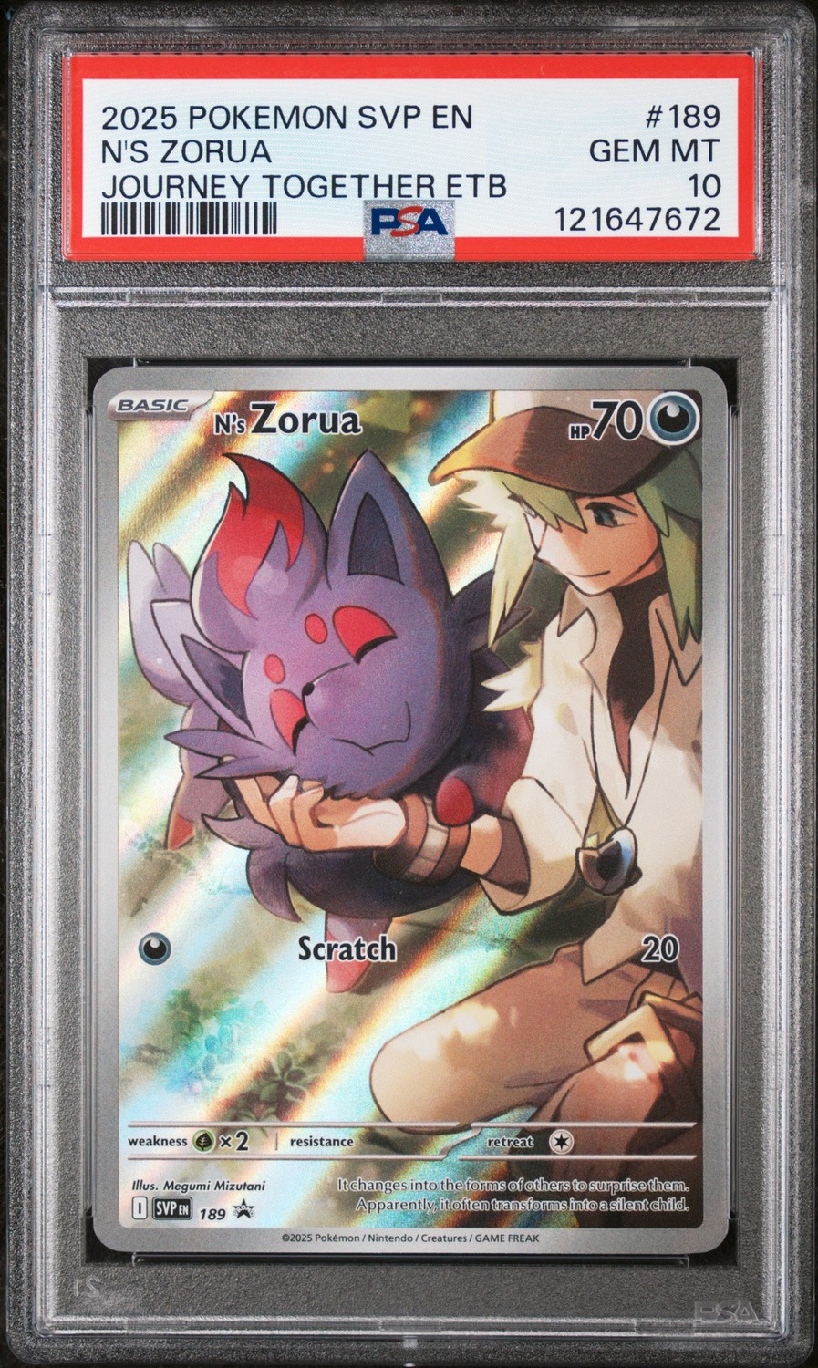 N'S ZORUA
