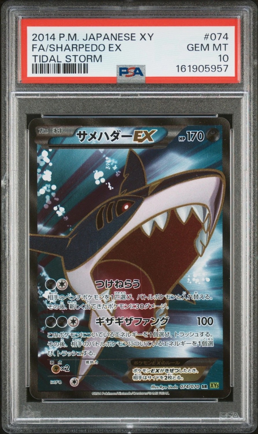 Fa/sharpedo Ex