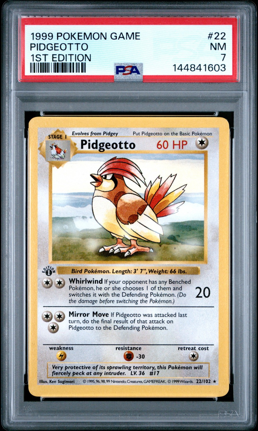 PIDGEOTTO