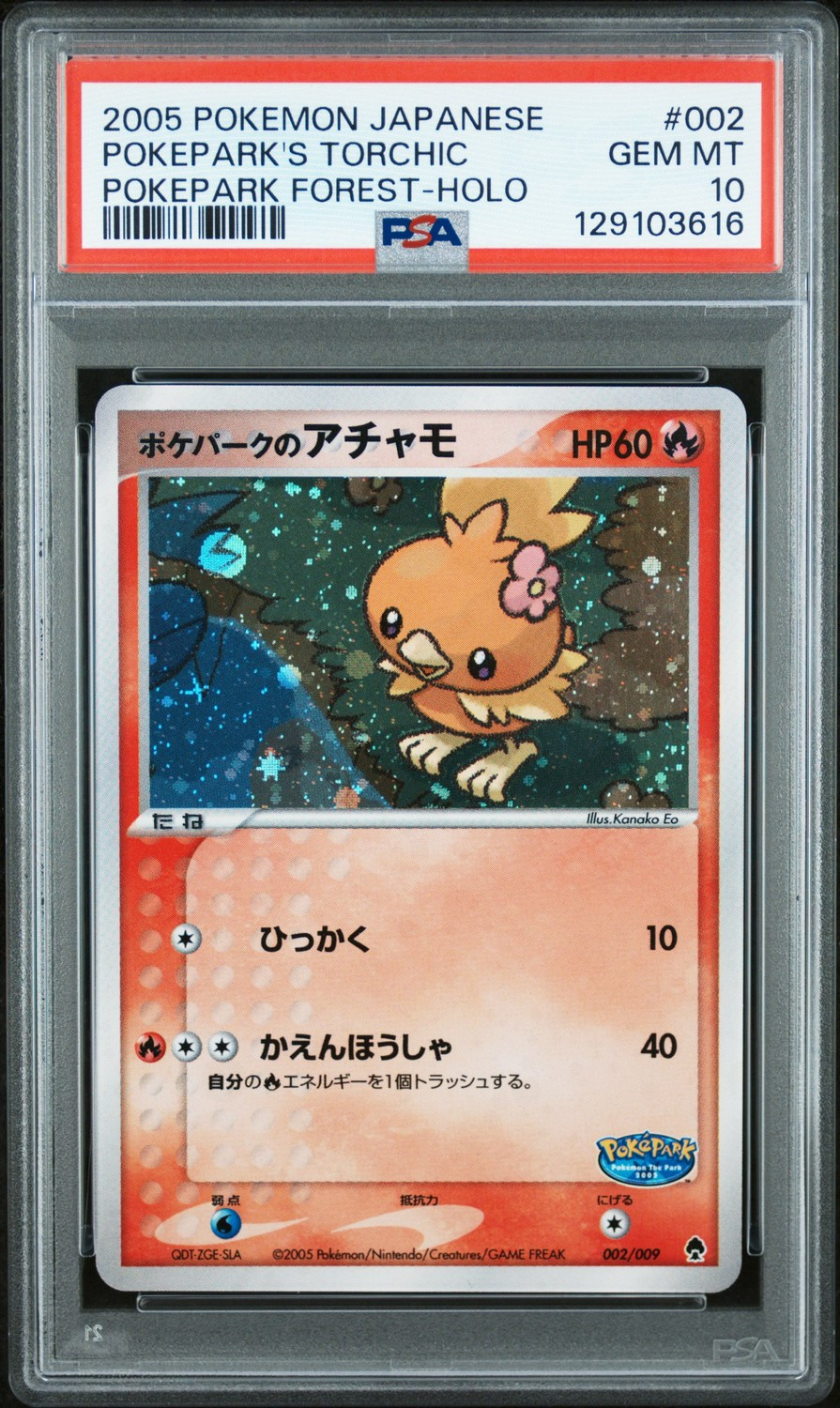 Pokepark's Torchic