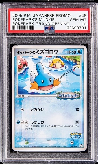 Pokepark's Mudkip