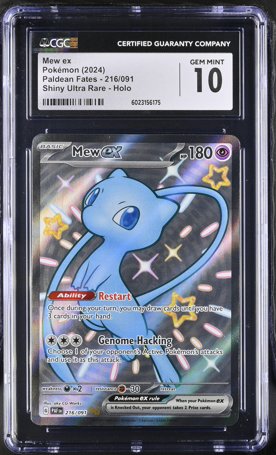 MEW ex
