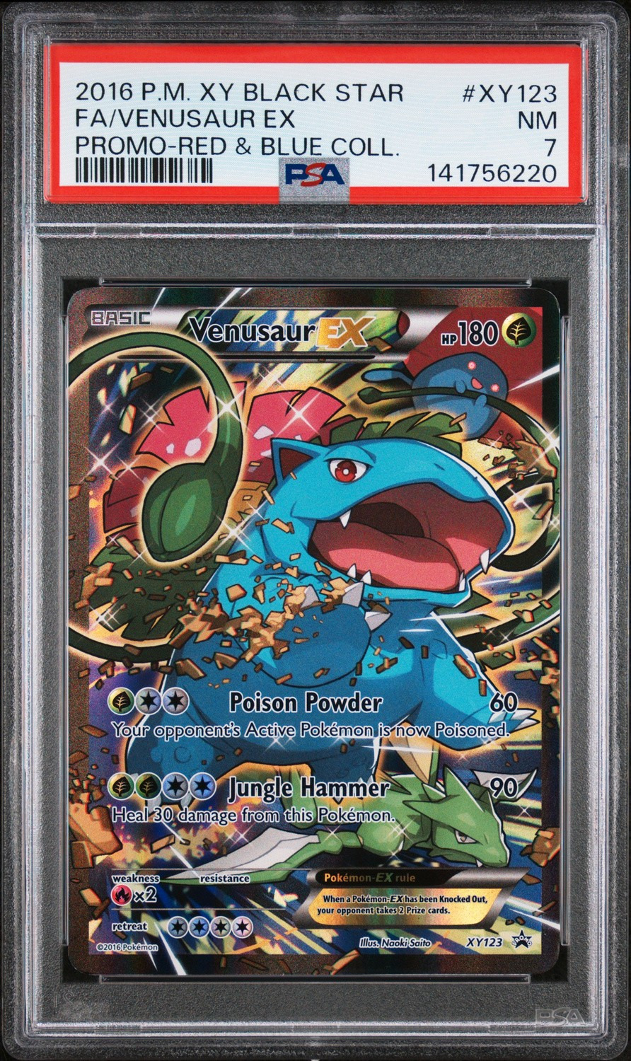 Venusaur EX