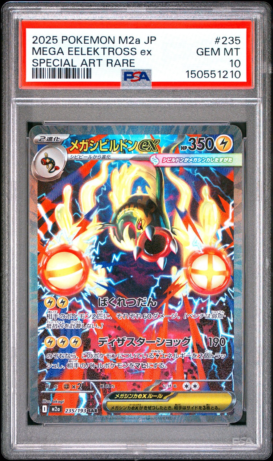 MEGA EELEKTROSS ex