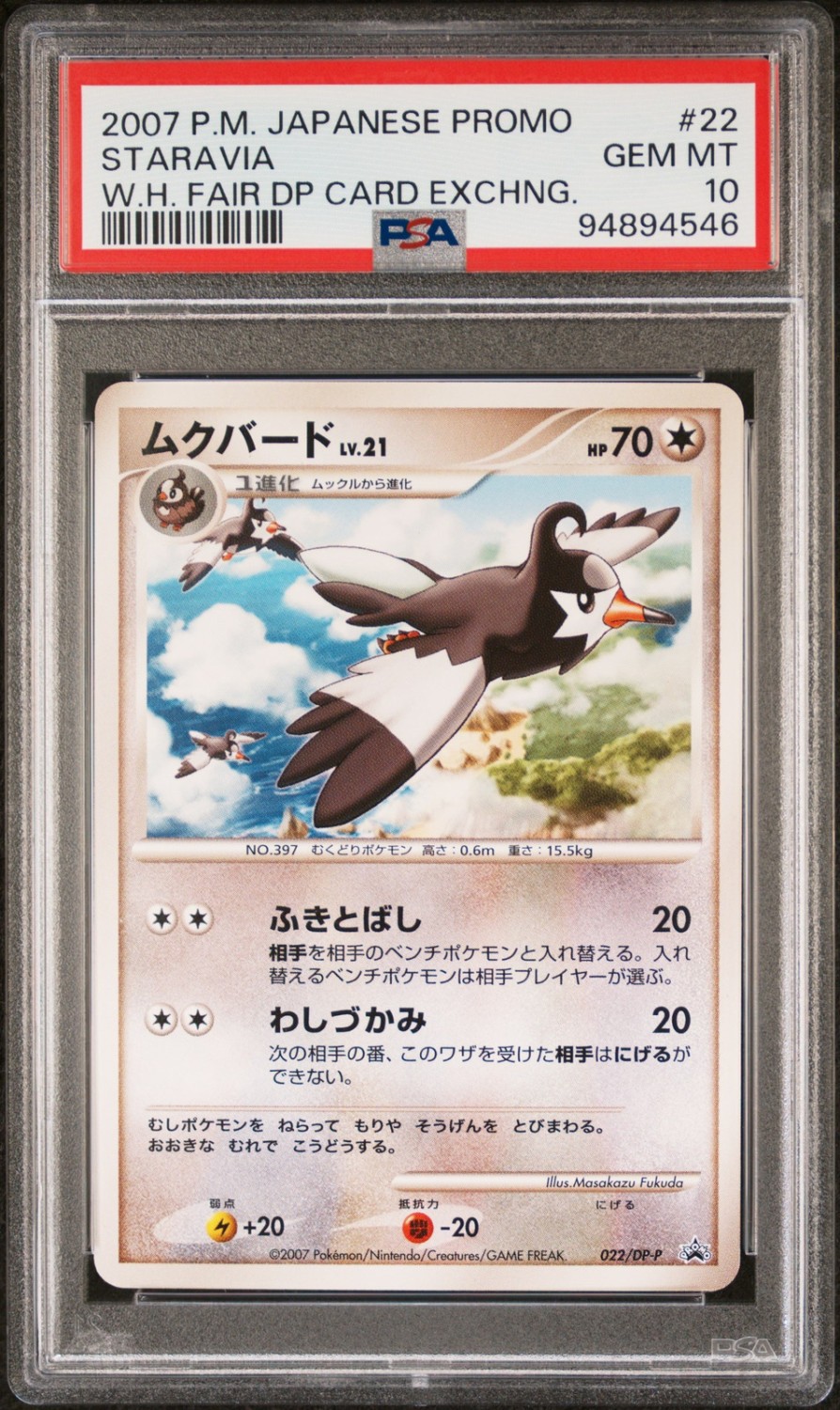 Staravia
