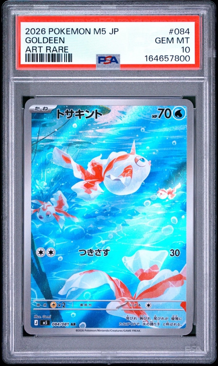 Goldeen