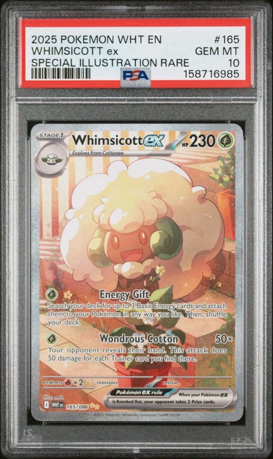 WHIMSICOTT ex